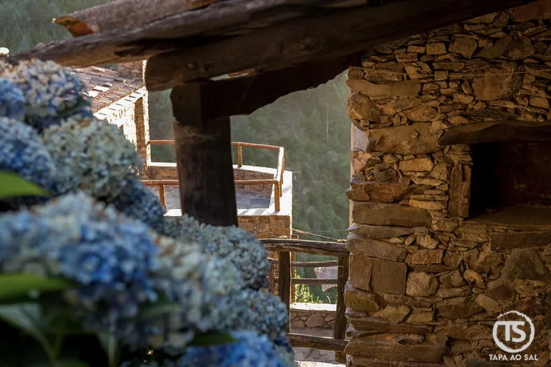 Pormenor de casas de xisto no Talasnal com hortênsias em primeiro plano