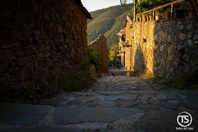 Rua de xisto no Talasnal com luz dourada ao final da tarde