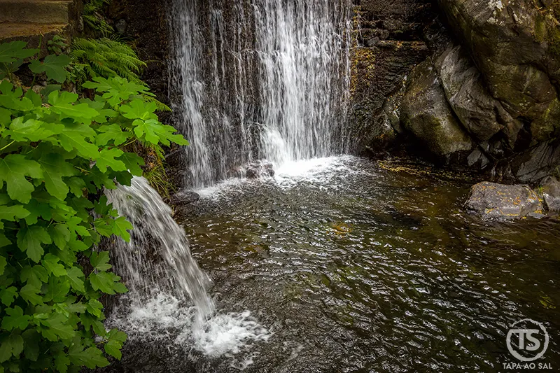 Pequena queda de água cristalina rodeada por vegetação verdejante e rochas, na Praia Fluvial de Nossa Senhora da Piedade, Lousã.