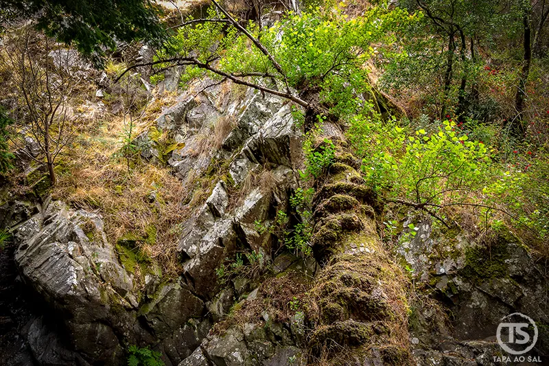 Formações rochosas cobertas por musgo e vegetação densa nas imediações da Praia Fluvial de Nossa Senhora da Piedade, na Lousã.
