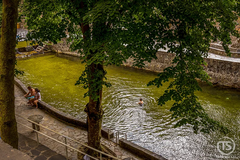 Pessoa a nadar na piscina natural da Praia Fluvial de Nossa Senhora da Piedade, enquanto outras descansam nas margens sombreadas por árvores altas.