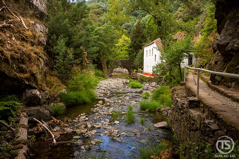Vista da ribeira com pedras e vegetação, ladeada por muros e casas brancas, junto à Praia Fluvial de Nossa Senhora da Piedade, na Lousã.