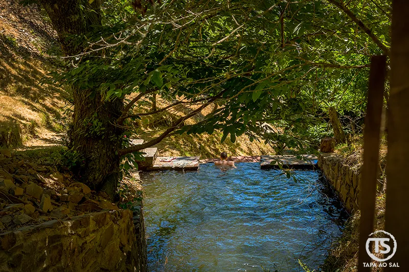 Ribeira na Serra da Lousã com água corrente e zona de banho entre árvores