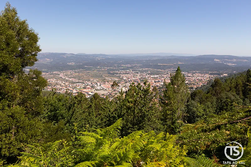 Vista da vila da Lousã a partir da Serra da Lousã entre árvores e encosta verde