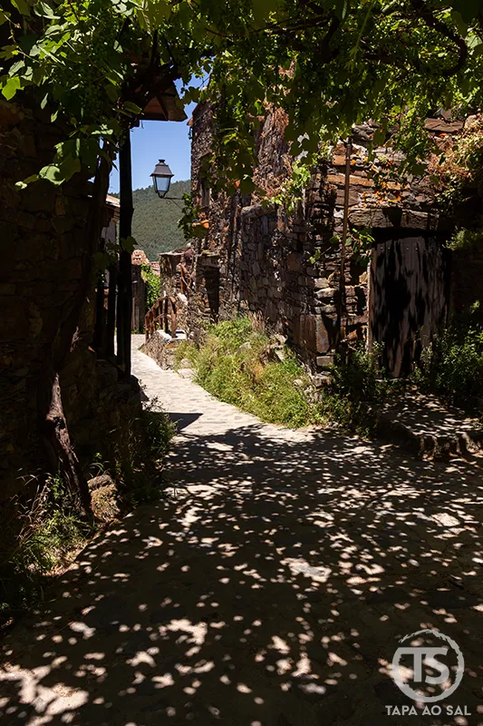 Ruela sombreada entre casas de xisto numa aldeia da Serra da Lousã