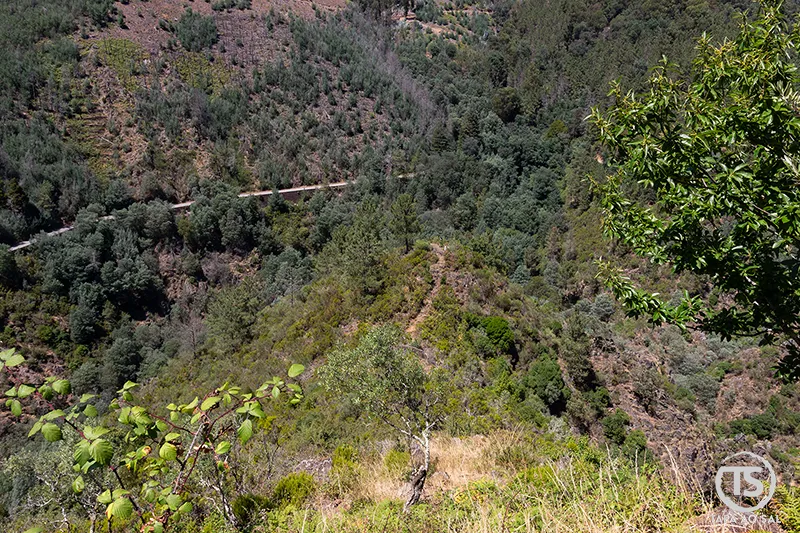 Encosta da Serra da Lousã com vegetação densa e trilhos visíveis no relevo