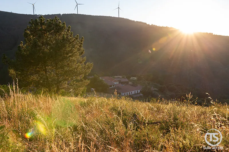 Luz do fim do dia sobre uma encosta da Serra da Lousã com vegetação alta e casas ao fundo