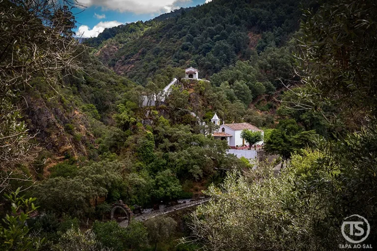 Vista panorâmica do Santuário de Nossa Senhora da Piedade, na Lousã, rodeado pela vegetação da serra e encaixado num vale verdejante.