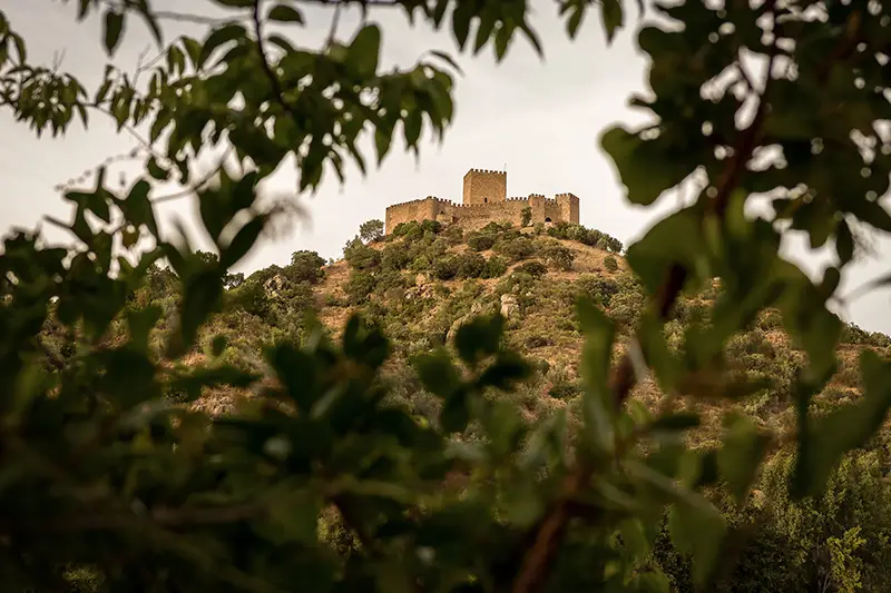 Castelo de Belver visto entre ramos de árvores, em destaque sobre a colina verdejante no concelho do Gavião