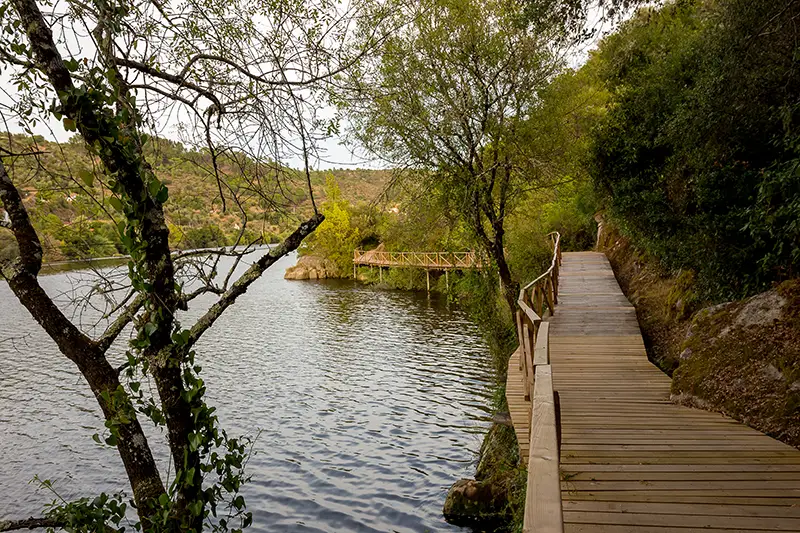 Trecho do passadiço do Alamal junto ao Tejo, ladeado por árvores e rochedos no concelho do Gavião