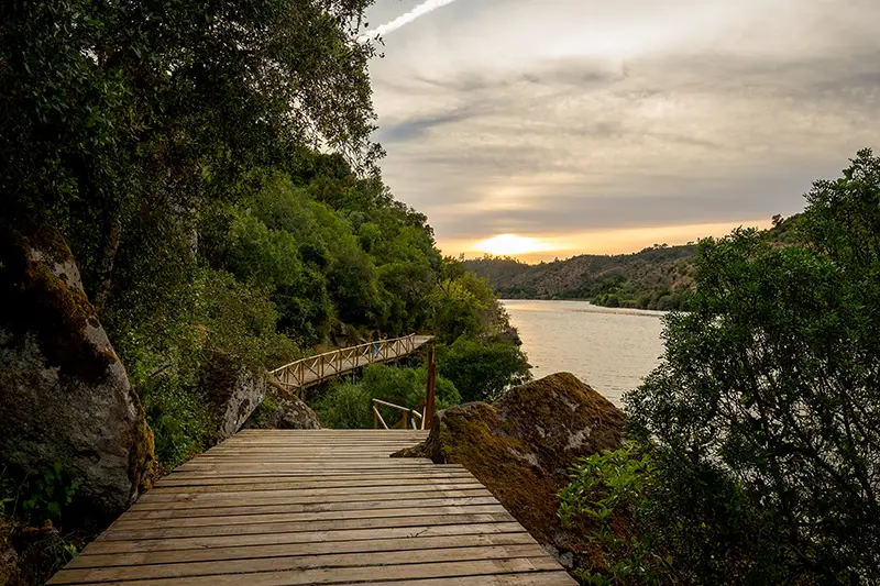 Passadiço do Alamal ao entardecer, com vista para o rio Tejo e céu dourado no horizonte