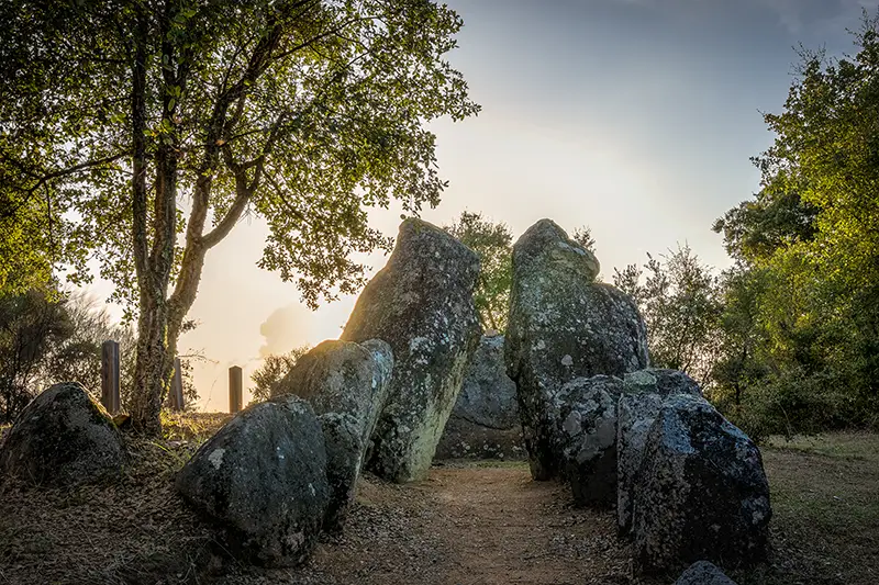 Anta do Penedo Gordo no percurso pedestre PR1 – Arribas do Tejo, rodeada de árvores e iluminada pela luz do entardecer.