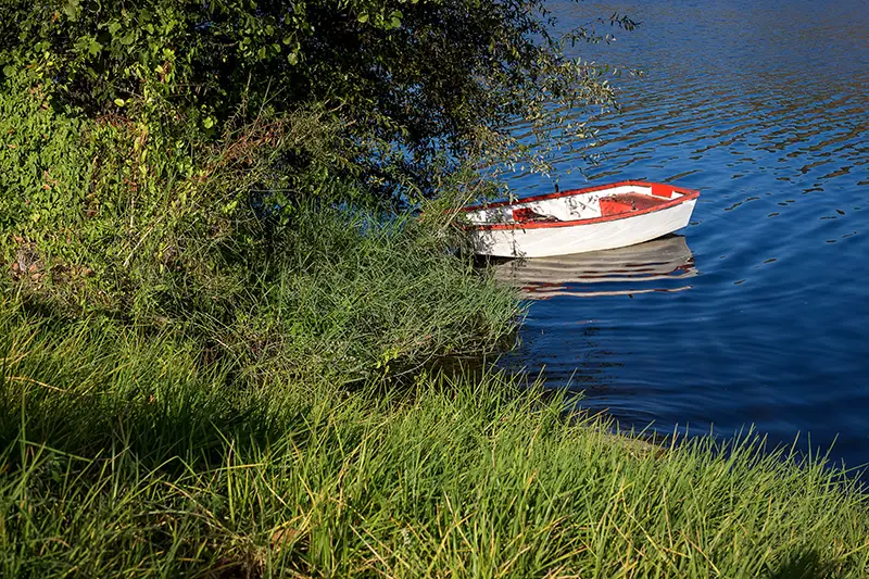 Barco branco encostado à margem do Tejo, rodeado por vegetação verdejante ao longo do percurso pedestre PR1 – Arribas do Tejo.