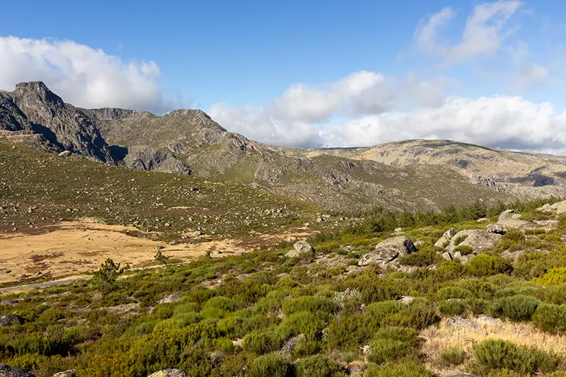 Paisagem de verão na Serra da Estrela com vegetação rasteira, rochas e montanhas ao fundo