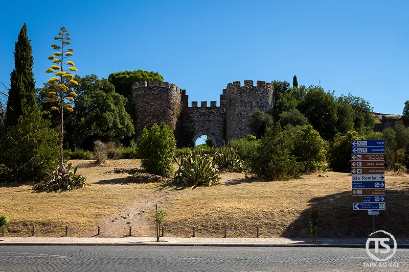 Castelo de Vila Viçosa com muralhas medievais e entrada principal rodeada de vegetação