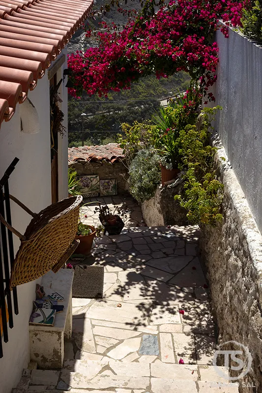 Travessa com flores e cesta típica nas Azenhas do Mar.