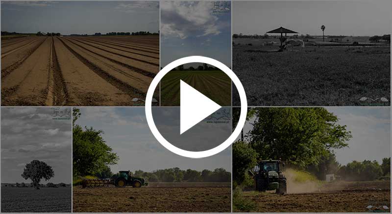 lezíria-do-tejo_fotografias