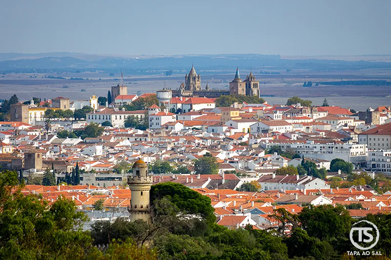 Vista panorâmica de Évora com a Sé e o centro histórico no Alentejo