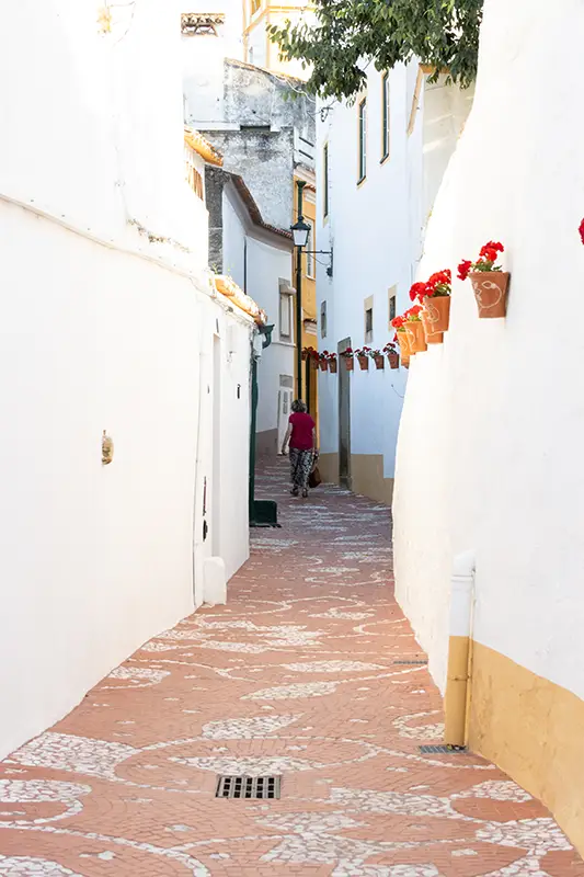 Rua de Santa Maria em Nisa, com calçada decorativa em tons de barro e fachadas brancas típicas do Alentejo, decoradas com vasos de flores.