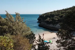 Praia dos Coelhos na Arrábida: Vista Deslumbrante de um Paraíso Secreto