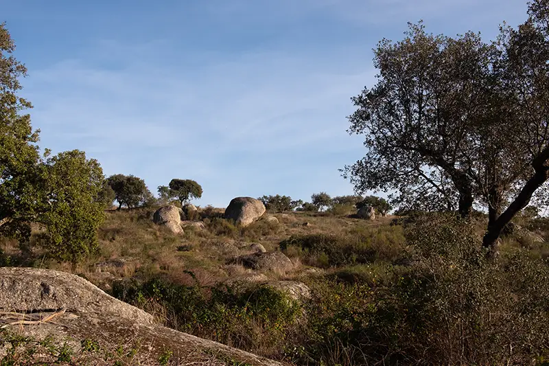No Caminho para a Ribeira de Figueiró, entre Luz e Sombras