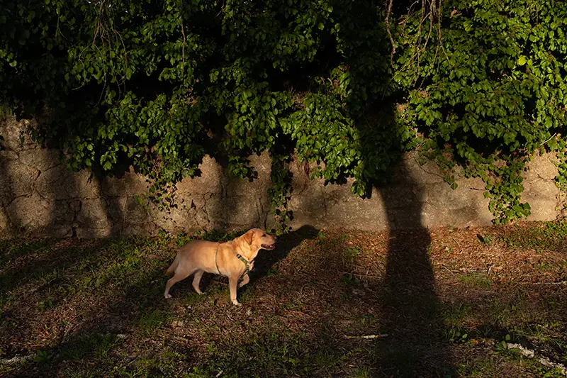 Deolinda à Beira da Ribeira de Figueiró