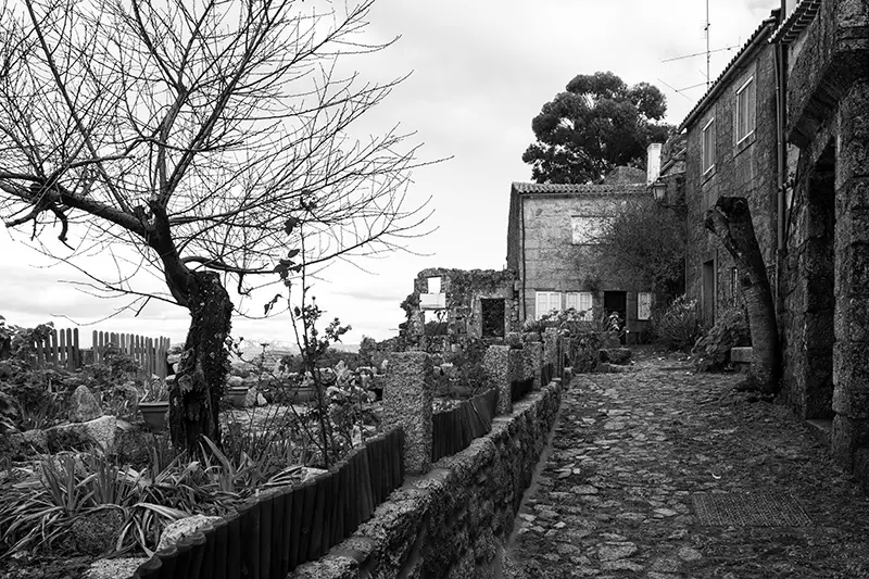 Quintal com horta de uma casa em Monsanto, em fotografia a preto e branco, com elementos rústicos e vegetação simples.