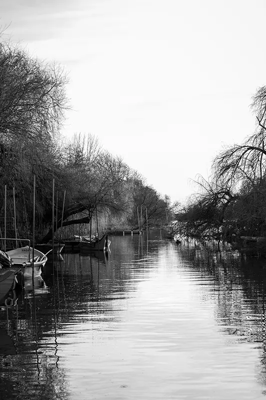 Canal calmo com barcos tradicionais ancorados e árvores despidas num fim-de-tarde de inverno — cenário perfeito para quem procura experiências fora dos circuitos ao decidir o que visitar em Portugal.