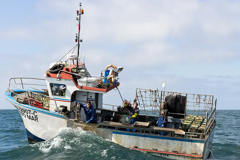 Barco de pesca artesanal na costa de Peniche, durante a captura de polvo — tradição viva entre os lugares autênticos a conhecer ao visitar Portugal.