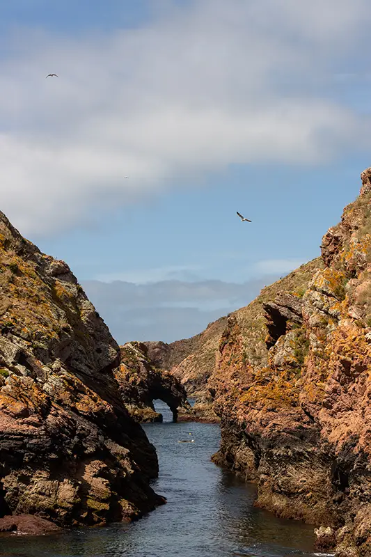 Paisagem da Ilha das Berlengas com formações rochosas e arco natural sobre o mar — um dos lugares a considerar ao decidir o que visitar em Portugal.