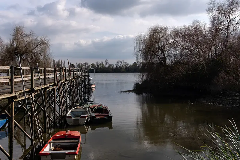 Barcos atracados junto ao cais palafítico da Aldeia Avieira da Palhota, com árvores despidas e céu nublado. Paisagem outonal perfeita para quem procura o que visitar em Portugal fora dos roteiros habituais.