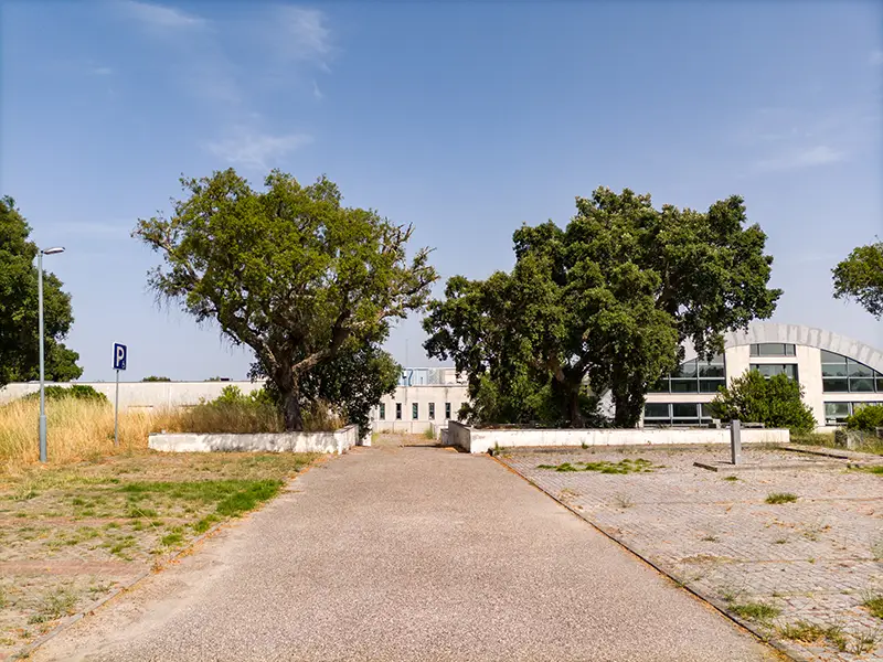 Entrada traseira das Termas da Fadagosa de Nisa, com árvores frondosas e edifício moderno ao fundo num cenário de verão.