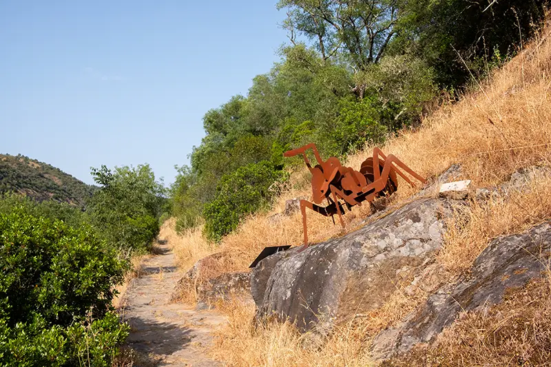 Escultura metálica de formiga nos passadiços de Nisa – Trilho da Barca da Amieira