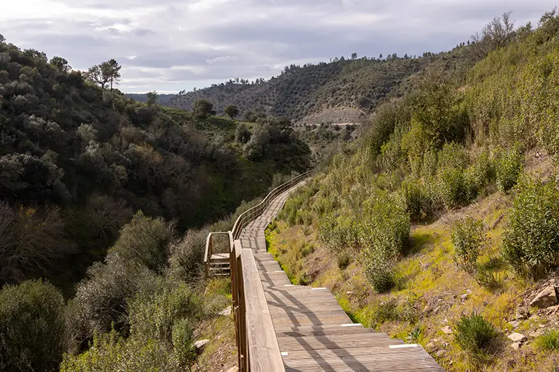 Passadiço de madeira entre vegetação densa no Trilho da Barca da Amieira, em Nisa