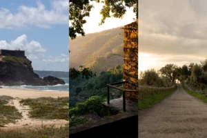 O que visitar em Portugal: paisagem costeira, serra ao entardecer e estrada rural entre oliveiras. Imagem de capa do guia de viagem.