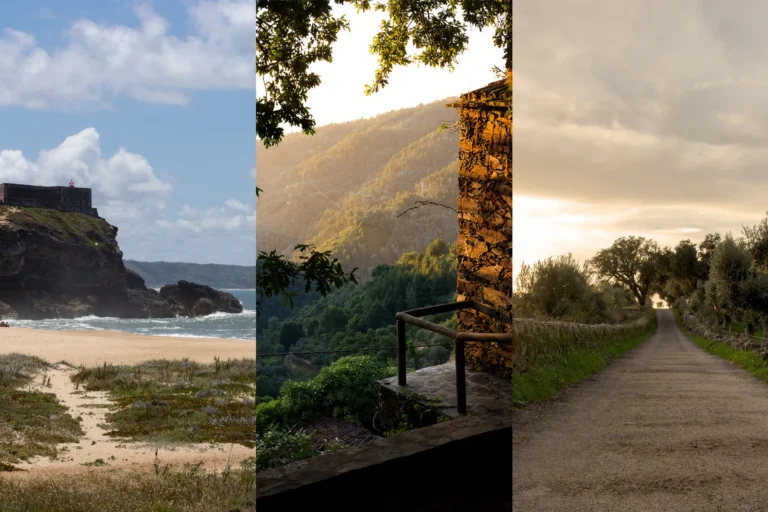 O que visitar em Portugal: paisagem costeira, serra ao entardecer e estrada rural entre oliveiras. Imagem de capa do guia de viagem.