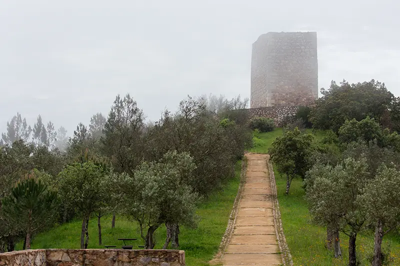 Caminho ladeado por oliveiras até à torre do Castelo do Rei Wamba envolta em nevoeiro