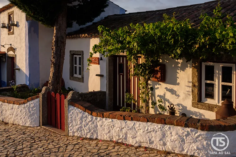 Casa caiada com videira na entrada na Aldeia da Mata Pequena