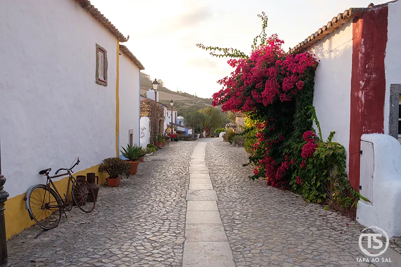 Rua empedrada na Aldeia da Mata Pequena com casas caiadas e buganvília em flor.