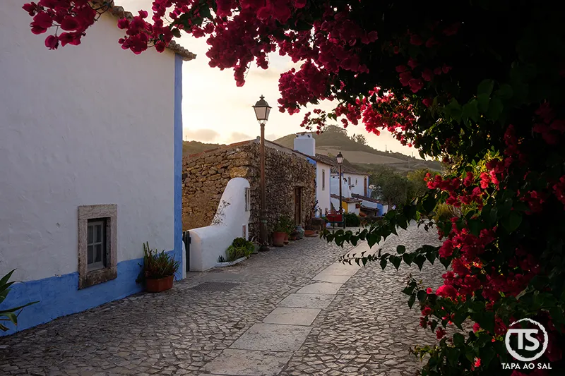 Rua empedrada com casas caiadas na Aldeia da Mata Pequena ao pôr do sol