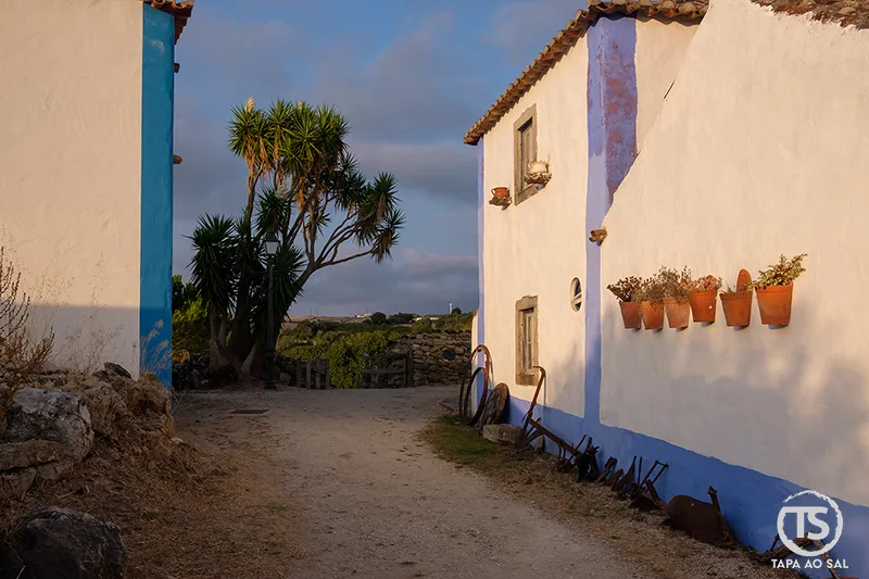 Casas caiadas com floreiras de barro na Aldeia da Mata Pequena ao pôr do sol