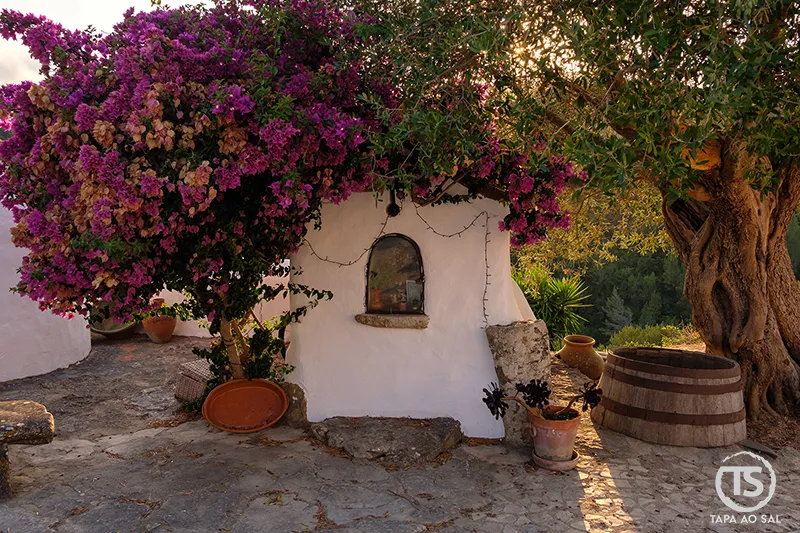 Pequeno edifício caiado coberto por buganvílias na Aldeia da Mata Pequena