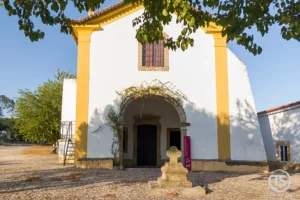 Fachada da Capela de Nossa Senhora da Redonda em Alpalhão ao entardecer, com sombra de árvores no adro.