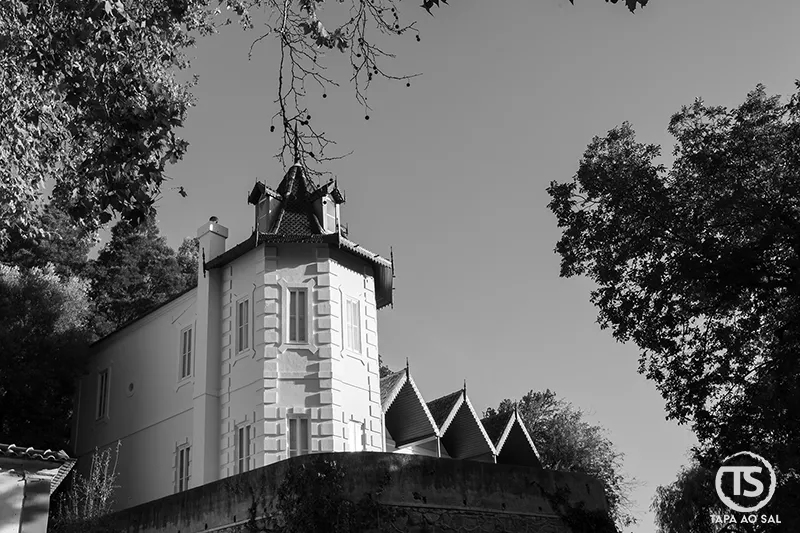 Torre histórica nas Caldas de Monchique emoldurada por árvores da serra algarvia