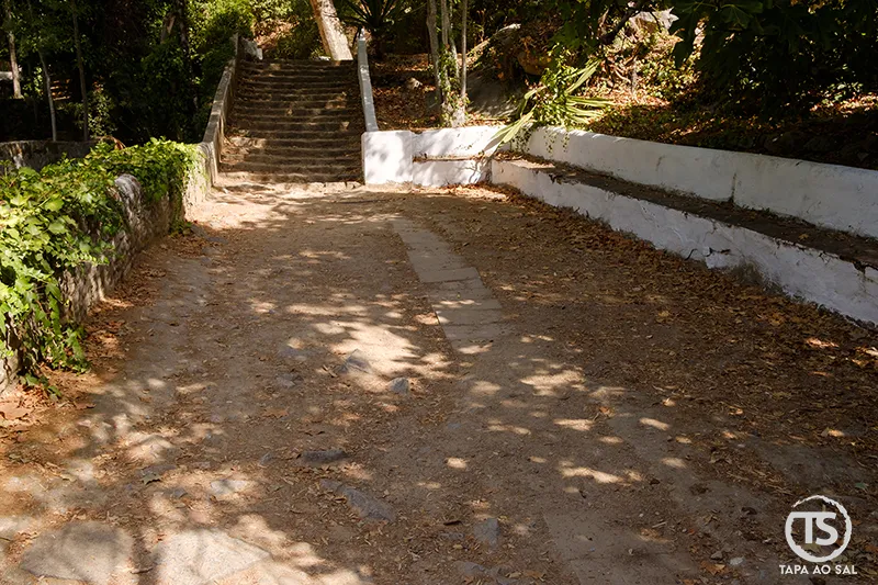 Escadaria antiga rodeada de vegetação nos jardins das Caldas de Monchique