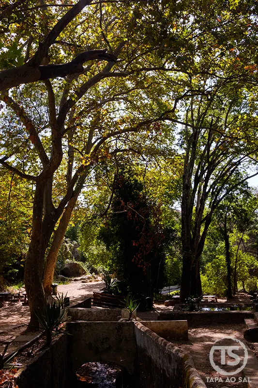 Riacho sombreado por árvores centenárias nos jardins das Caldas de Monchique