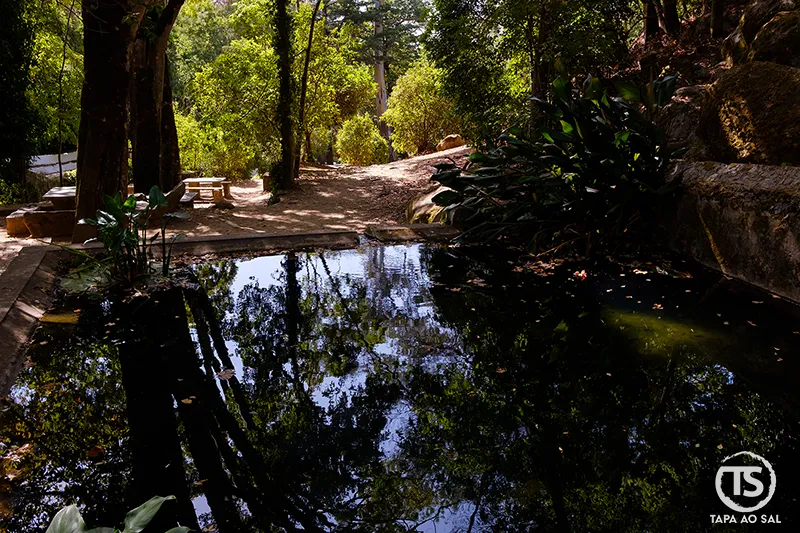 Lago refletindo árvores nos jardins das Caldas de Monchique