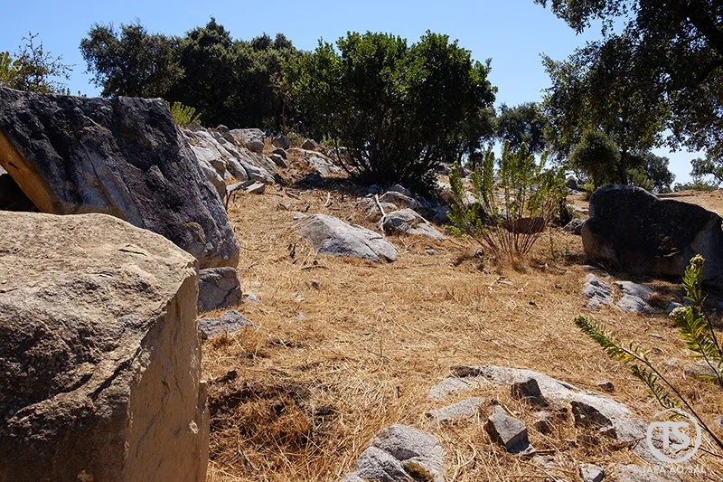 Ruínas em pedra do Castelo de Alferce na serra de Monchique, rodeadas por vegetação rasteira e sobreiros.