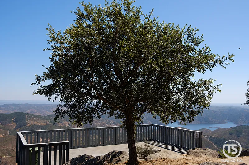 Miradouro no Castelo de Alferce com sombra de sobreiro e vista panorâmica sobre a serra de Monchique e a barragem.