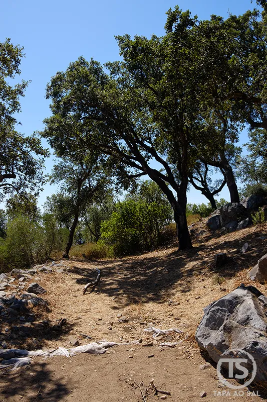 Trilho arborizado junto às ruínas do Castelo de Alferce, rodeado por sobreiros e pedras na serra de Monchique.